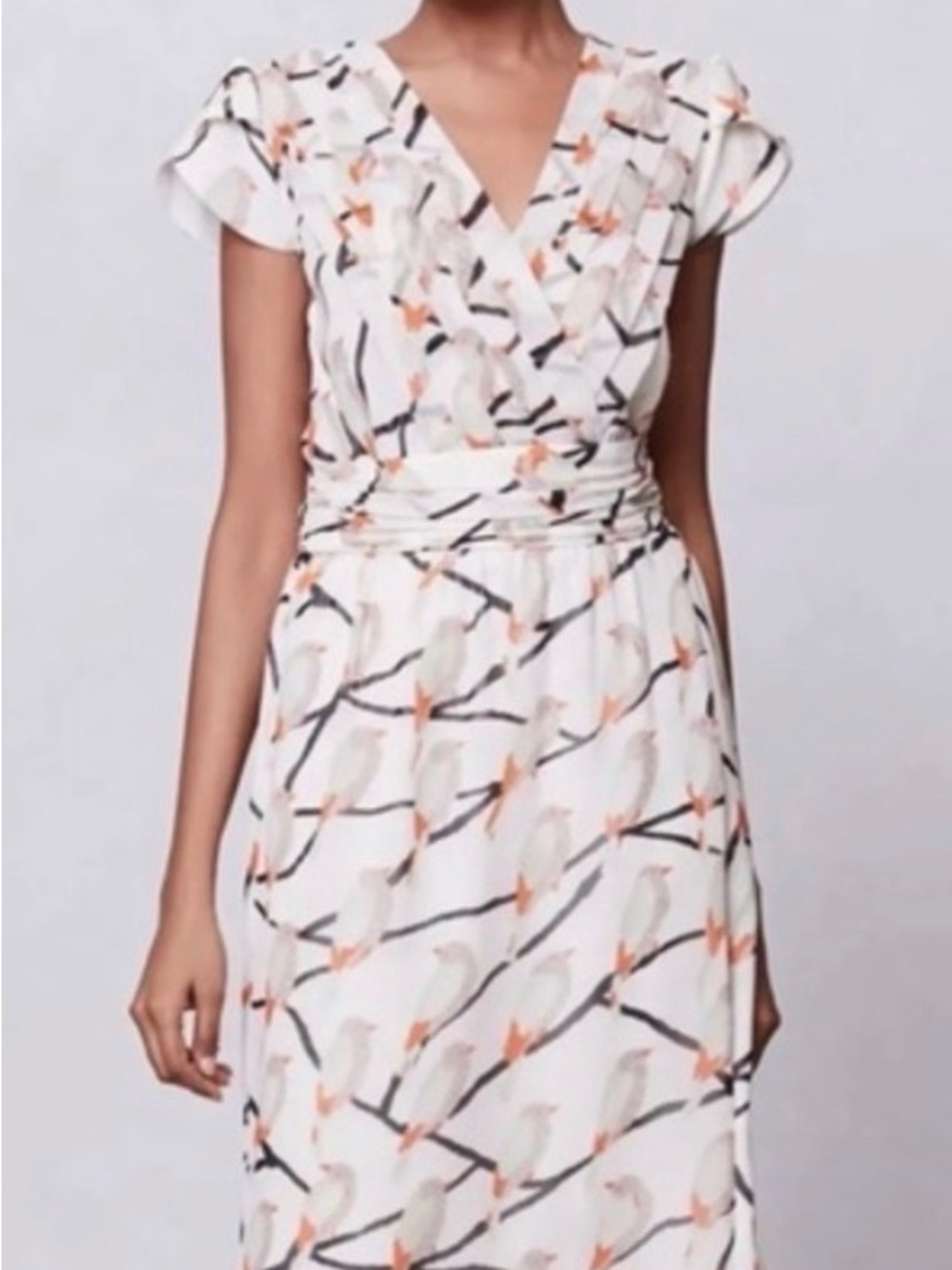 Anthropologie  Erin Featherston SONGBIRD Dress $288 Chiffon size 4 Preowned